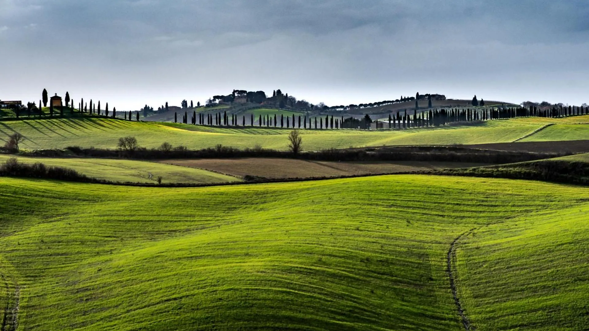 Podere Fossaccio Casa Cipresso Asciano