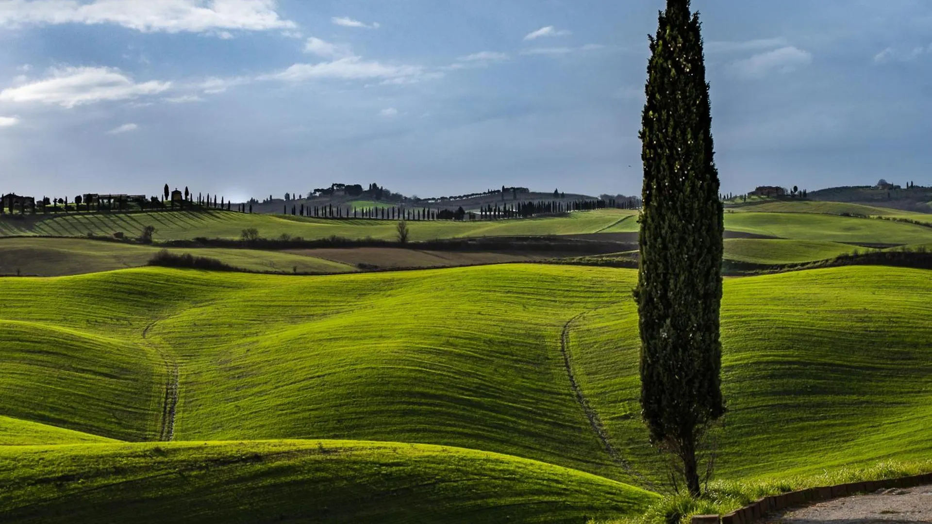 Podere Fossaccio Casa Cipresso Asciano